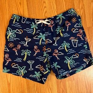 Chubbies Swim Shorts - fun pattern